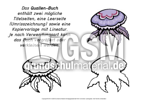 Mini-Buch-Qualle.pdf
